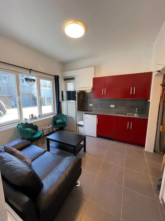 Ruyi Apartment De Panne Exterior photo